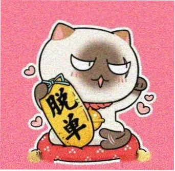 贵族粉